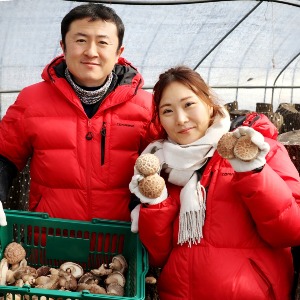 김미선 참나무원목 표고버섯 가정용 1kg